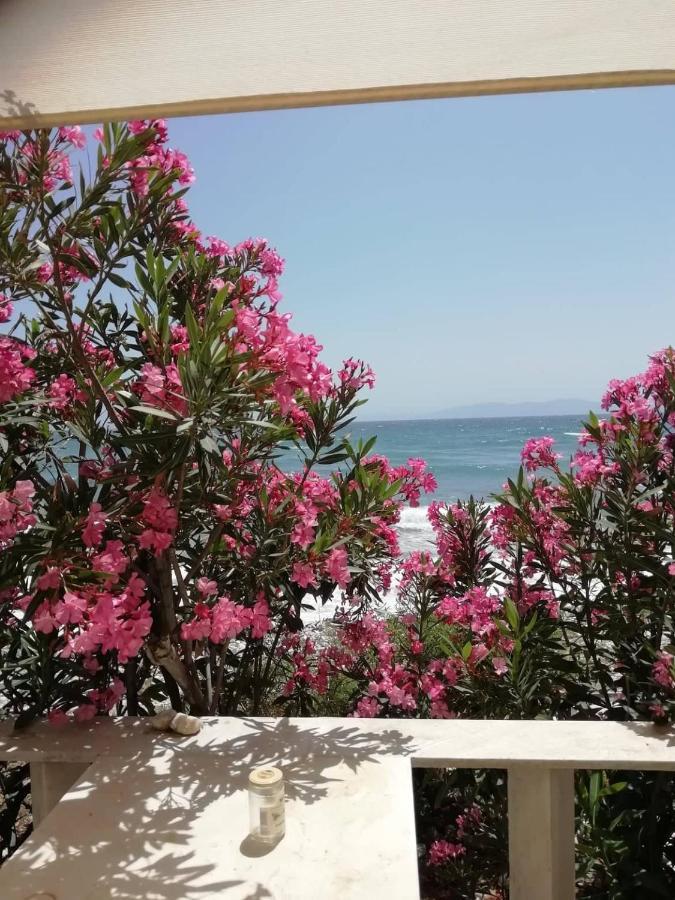 "Sea Front" Rose'S House Villa Kardhianí Eksteriør bilde
