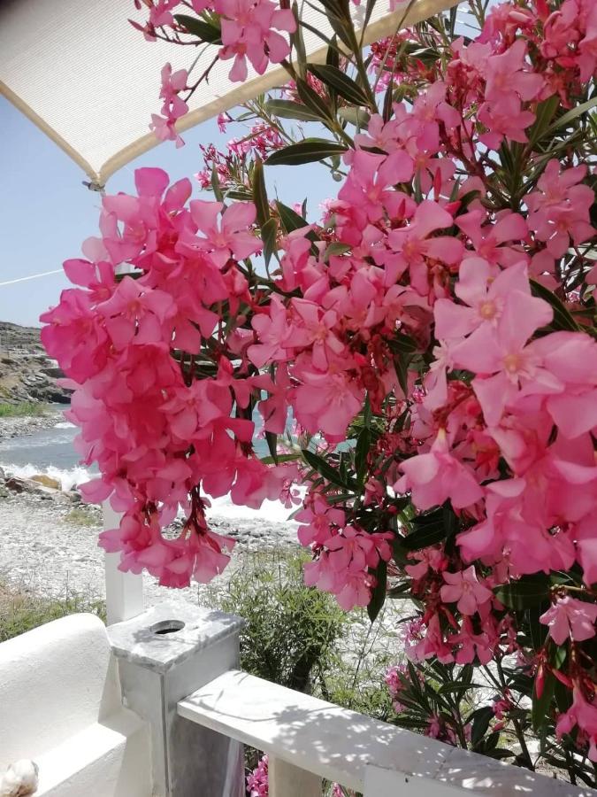 "Sea Front" Rose'S House Villa Kardhianí Eksteriør bilde